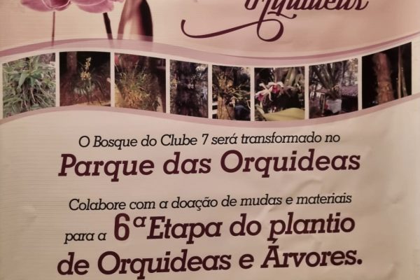 Parque das Orquídeas – 6ª Etapa